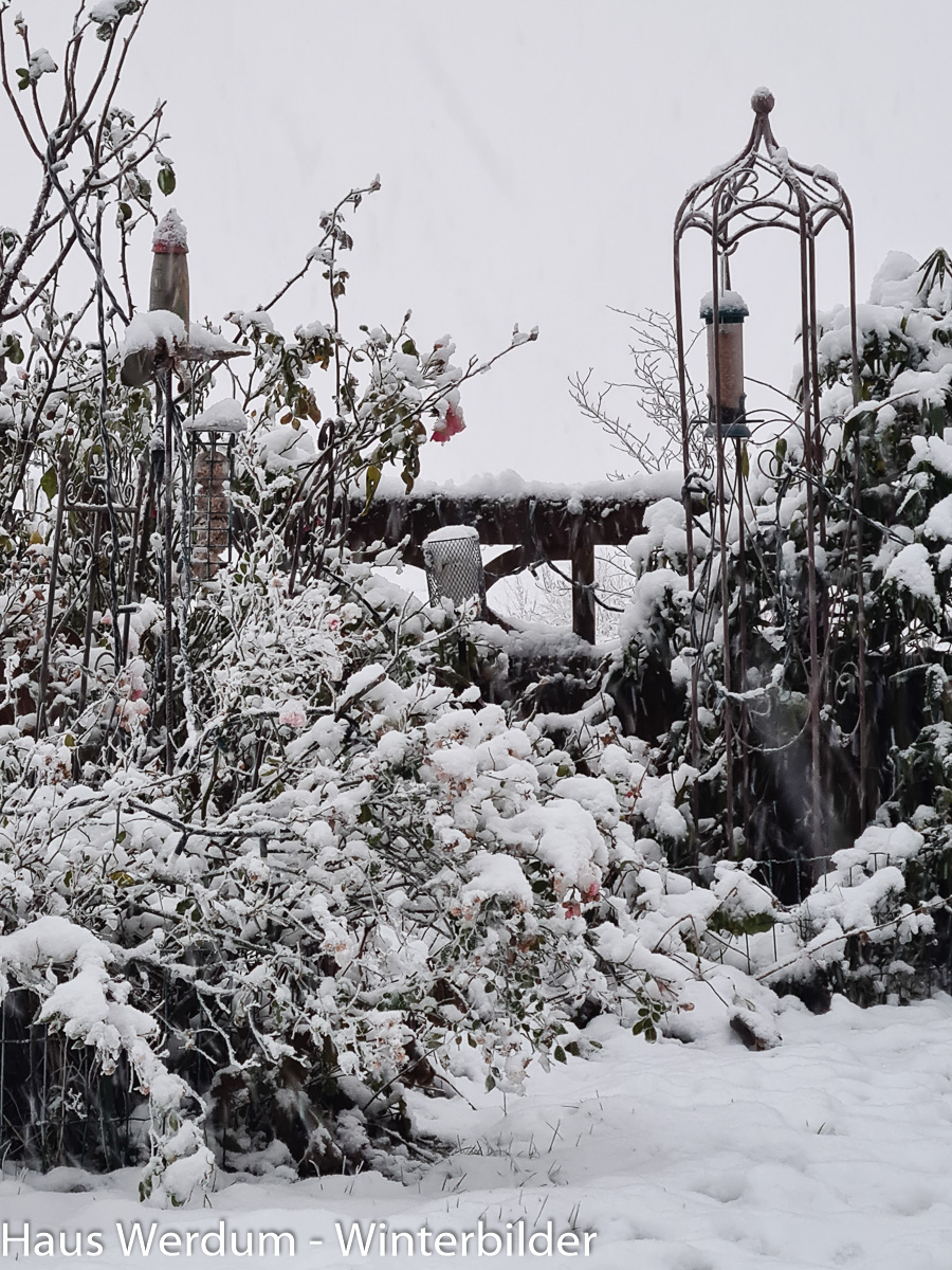 Haus Werdum - Winterbilder
